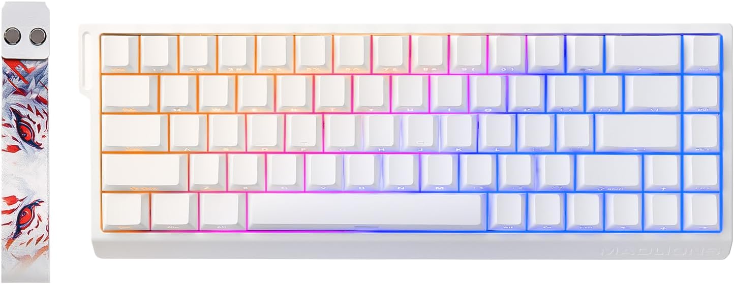 x HE Rapid Trigger Wired Magnetic Mechanical Gaming Keyboard 60% Hall Effect Switches Adjustable Actuation, PBT Keycaps RGB Hot-Swap,8K Hz Polling Rate(White,Amber Pro Switch)